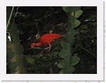 Dierentuin Burgers  Zoo 097 * 3648 x 2736 * (3.8MB)